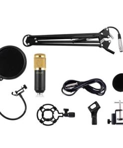 BM 800 Microphone with Stand Pop Filter