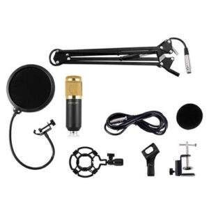 BM 800 Microphone with Stand Pop Filter